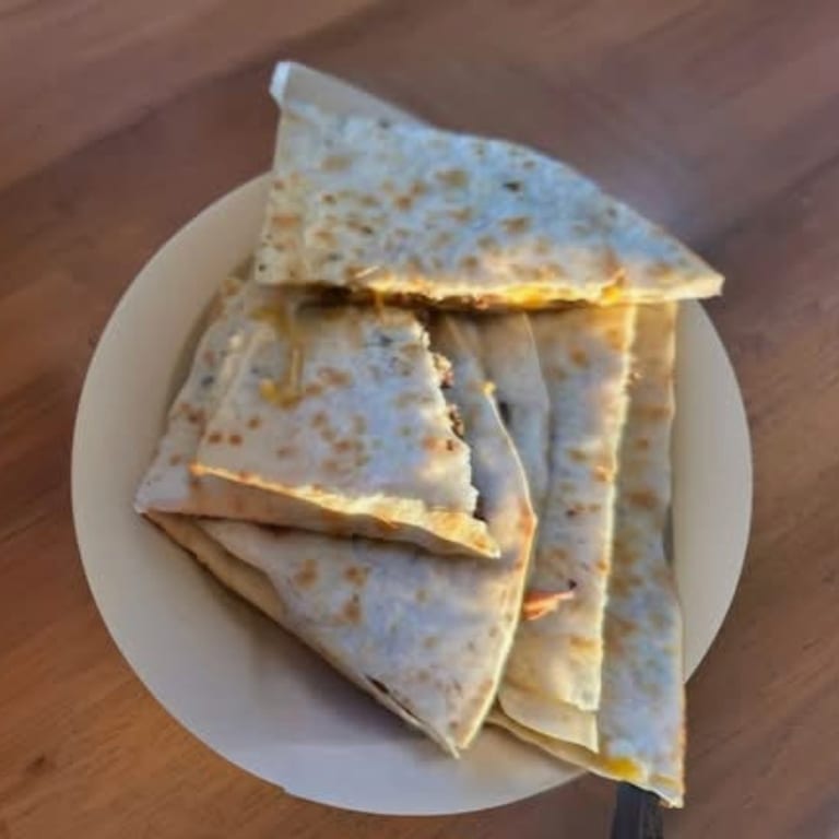 Quesadilla Delight